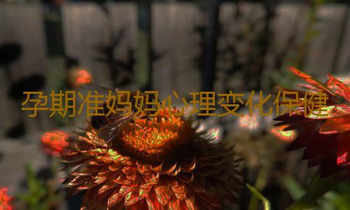 孕期准妈妈心理变化保健法