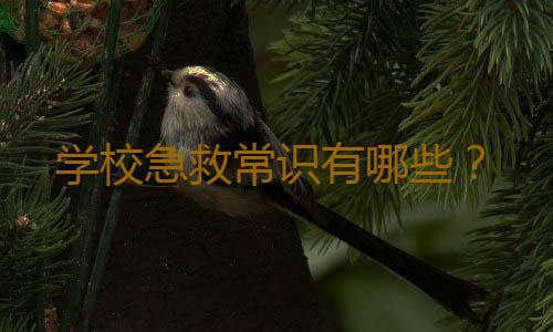 学校急救常识有哪些？