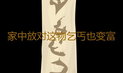 家中放对这物乞丐也变富