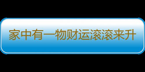 家中有一物财运滚滚来升官又发财