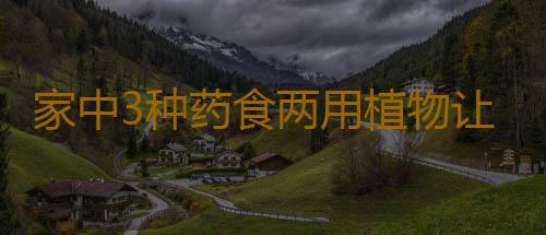 家中3种药食两用植物让你一生不生病