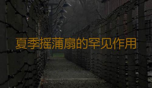 夏季摇蒲扇的罕见作用