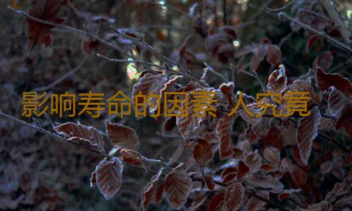 影响寿命的因素 人究竟能活多长时间