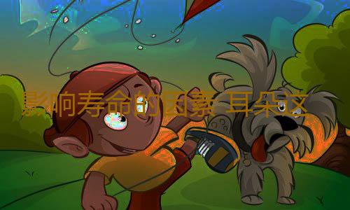 影响寿命的因素 耳朵这处有细纹会影响寿命