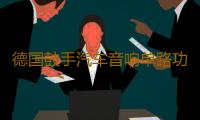 德国鼓手汽车音响单路功放D类数字双音圈低音炮大功率功放机1800W