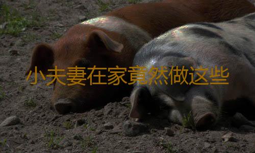 小夫妻在家竟然做这些