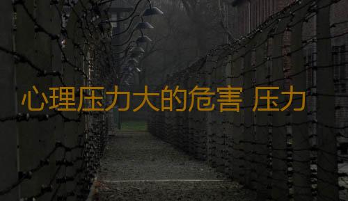 心理压力大的危害 压力过大该怎么办