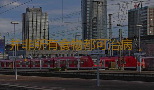 并非所有食物都可治病 食疗五大可怕误区
