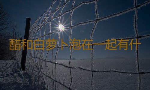 醋和白萝卜泡在一起有什么功效