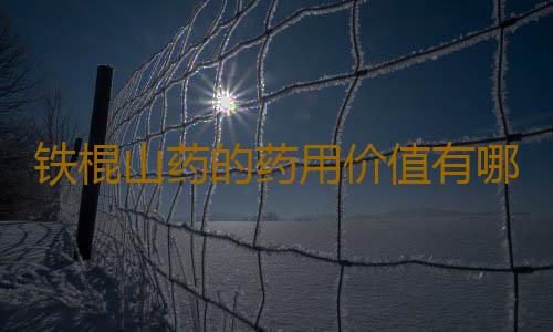 铁棍山药的药用价值有哪些