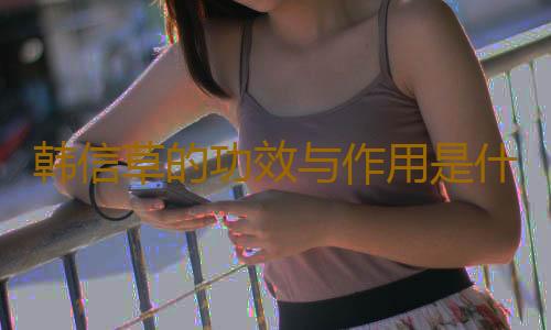 韩信草的功效与作用是什么？