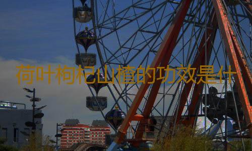 荷叶枸杞山楂的功效是什么
