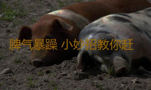 脾气暴躁 小妙招教你赶走暴躁脾气
