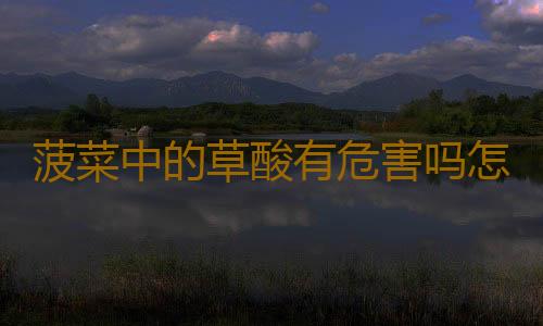 菠菜中的草酸有危害吗怎么办