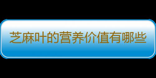 芝麻叶的营养价值有哪些