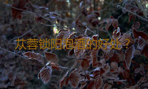 苁蓉锁阳泡酒的好处？