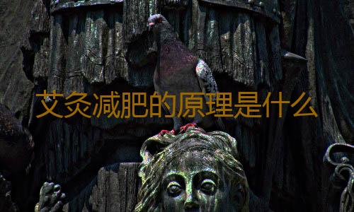 艾灸减肥的原理是什么