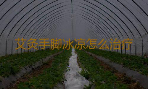 艾灸手脚冰凉怎么治疗
