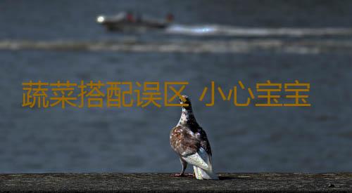 蔬菜搭配误区 小心宝宝健康