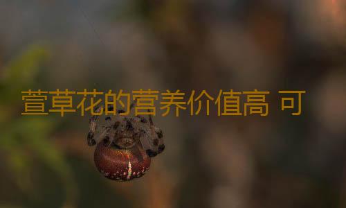 萱草花的营养价值高 可降胆固醇！