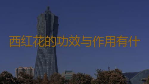 西红花的功效与作用有什么