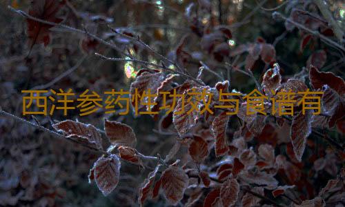 西洋参药性功效与食谱有哪些