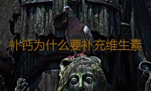 补钙为什么要补充维生素d