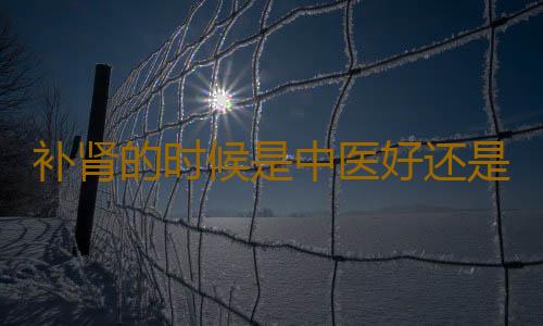 补肾的时候是中医好还是西医好？