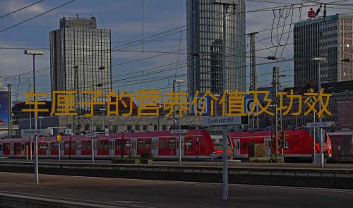 车厘子的营养价值及功效有哪些