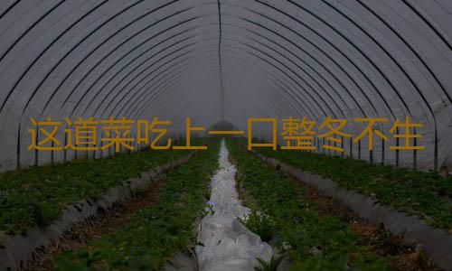 这道菜吃上一口整冬不生病