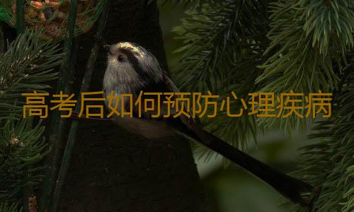 高考后如何预防心理疾病