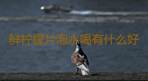 鲜柠檬片泡水喝有什么好处