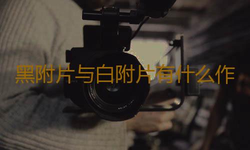 黑附片与白附片有什么作用？