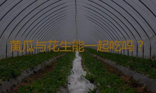 黄瓜与花生能一起吃吗？吃黄瓜拌花生米好吗