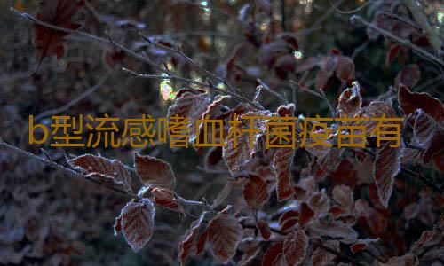 b型流感嗜血杆菌疫苗有必要打吗